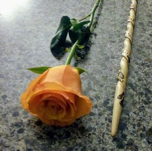 Meet your Posher, Rebecca j.